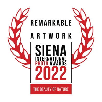 product award