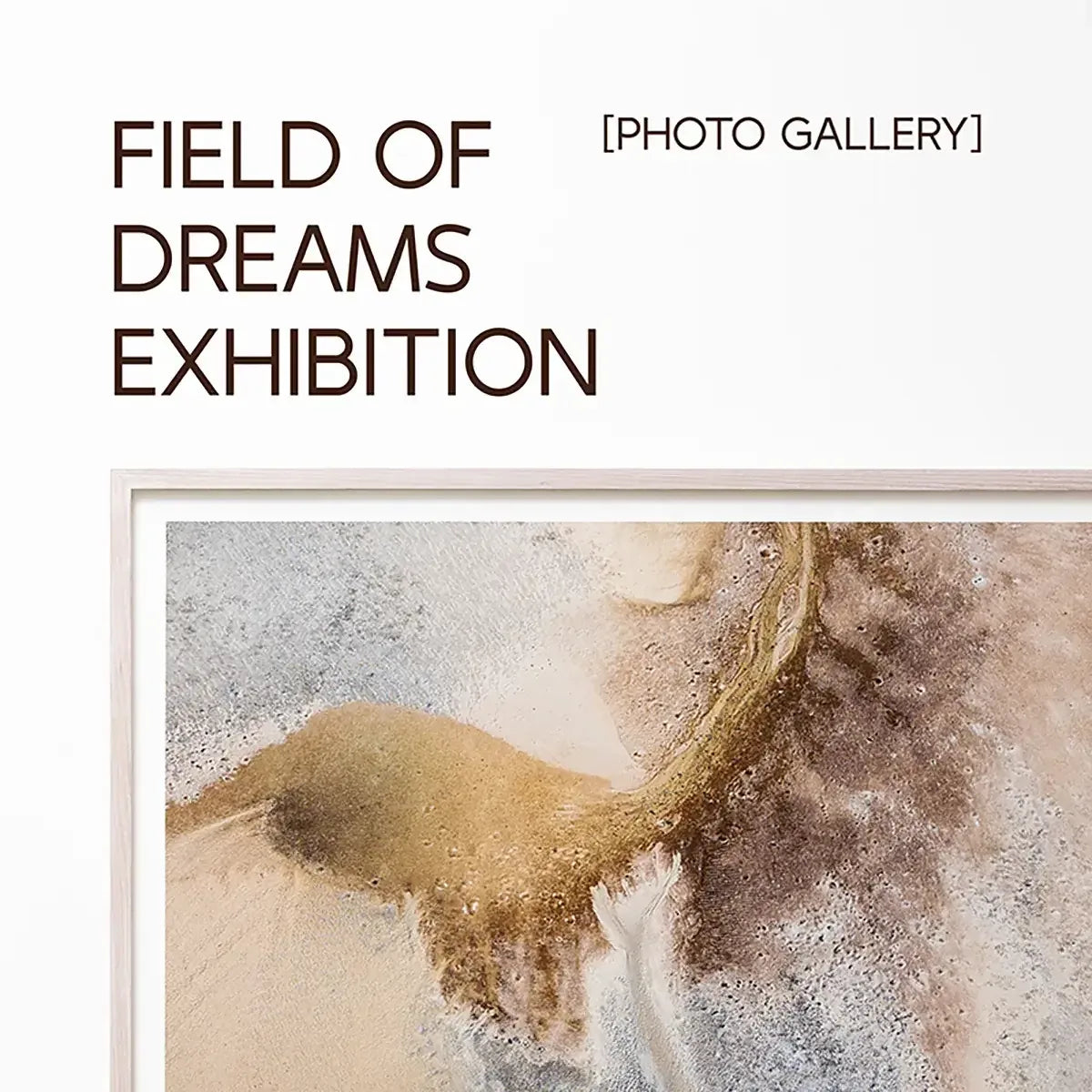 Field of Dreams Exhibition: Photo Gallery