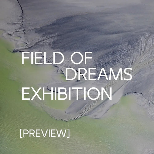Field of Dreams Exhibition: Preview