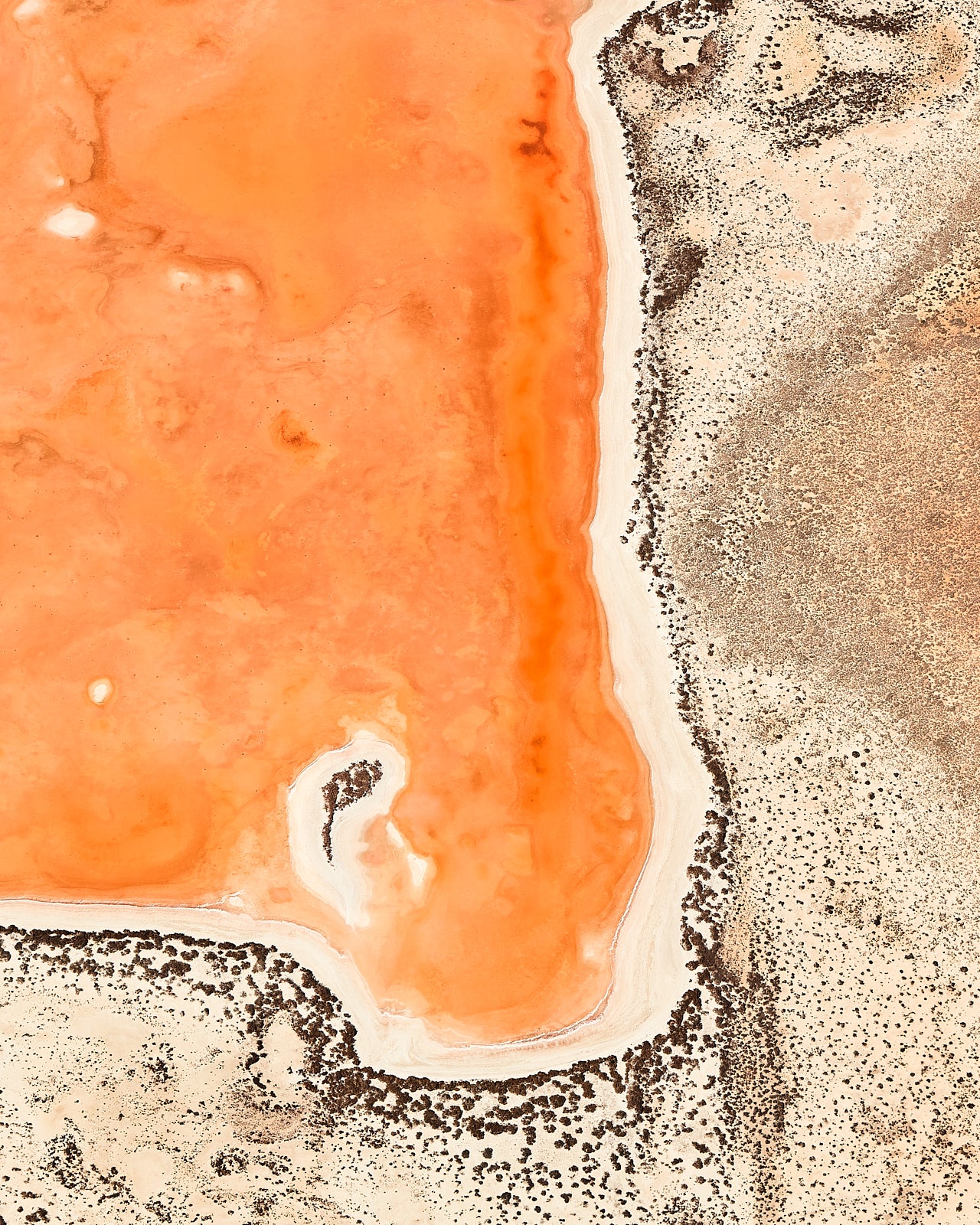 artwork_detail_1
