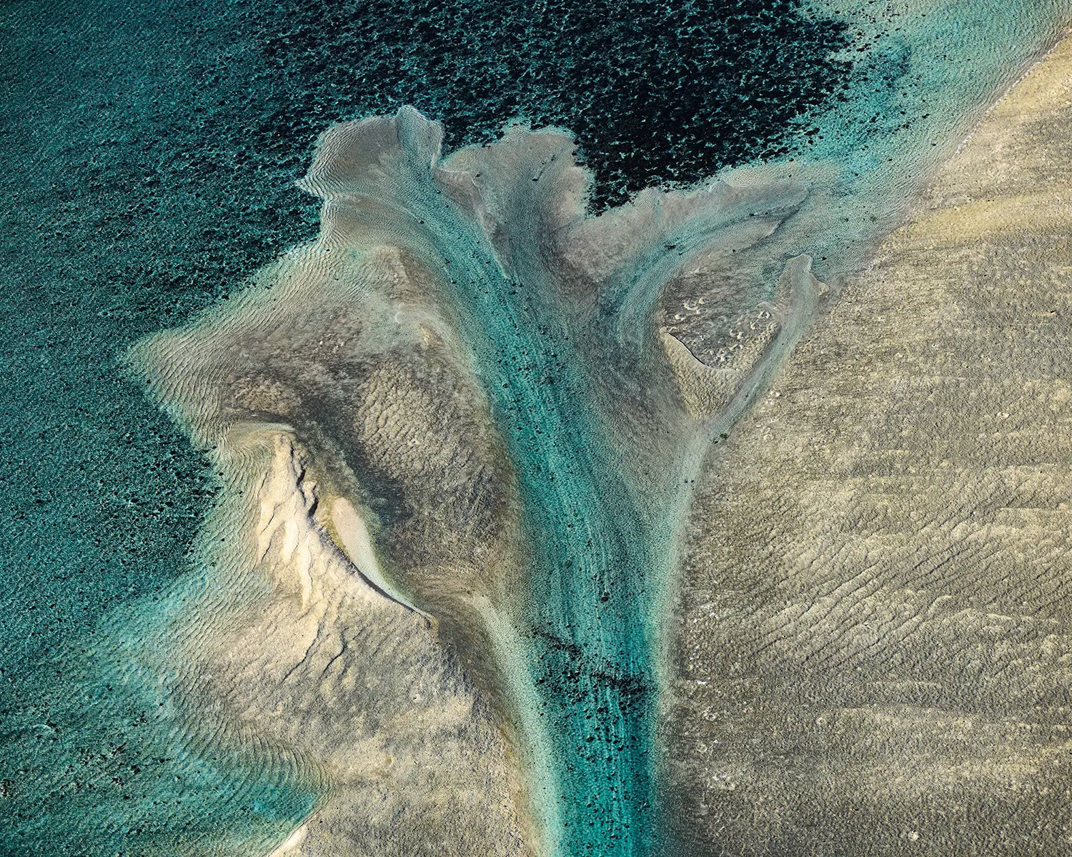 artwork_detail_1