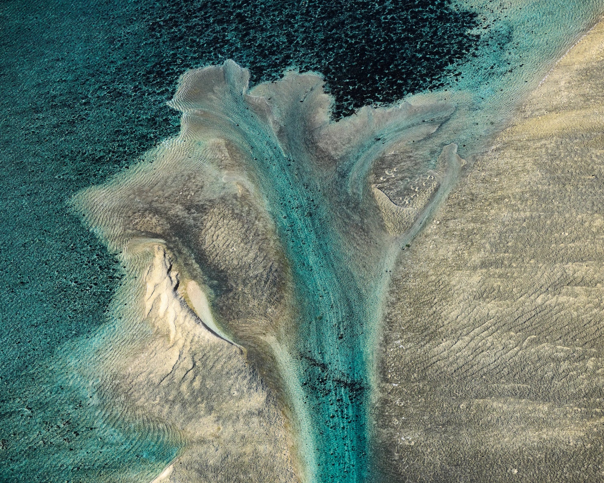 artwork_detail_1
