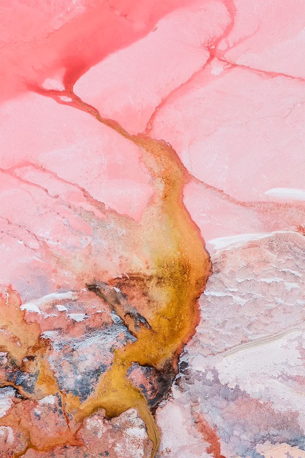 Gilded River – aerial photograph featuring a vivid gold-toned channel flowing through Hutt Lagoon in Western Australia