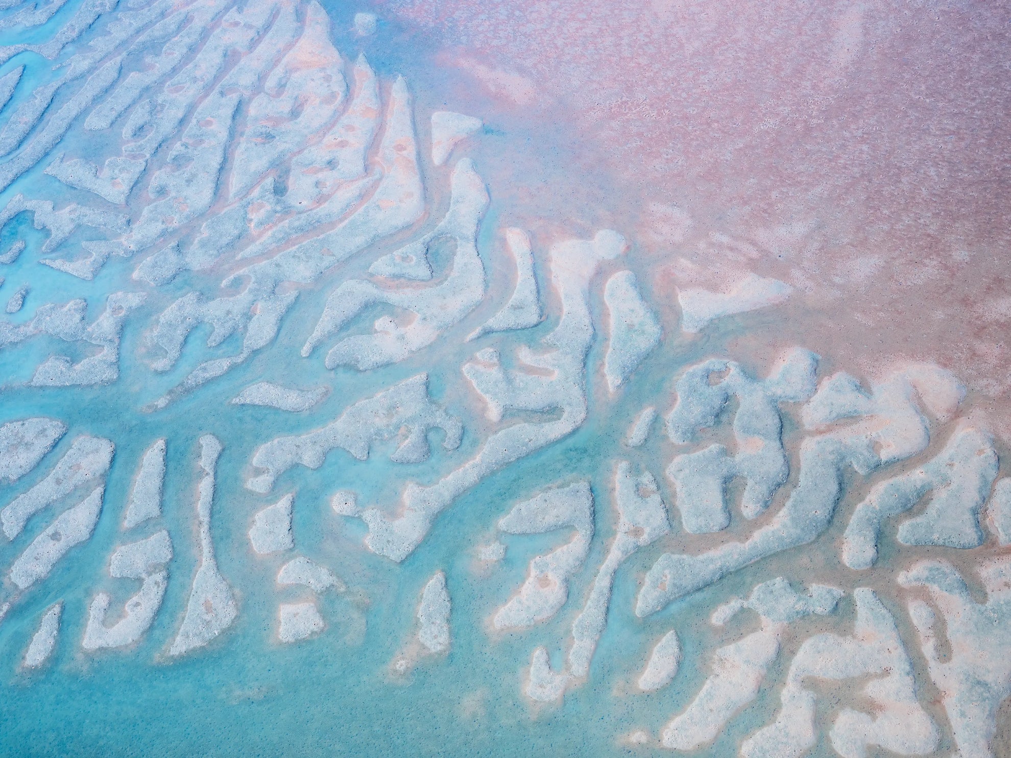 artwork_detail_1