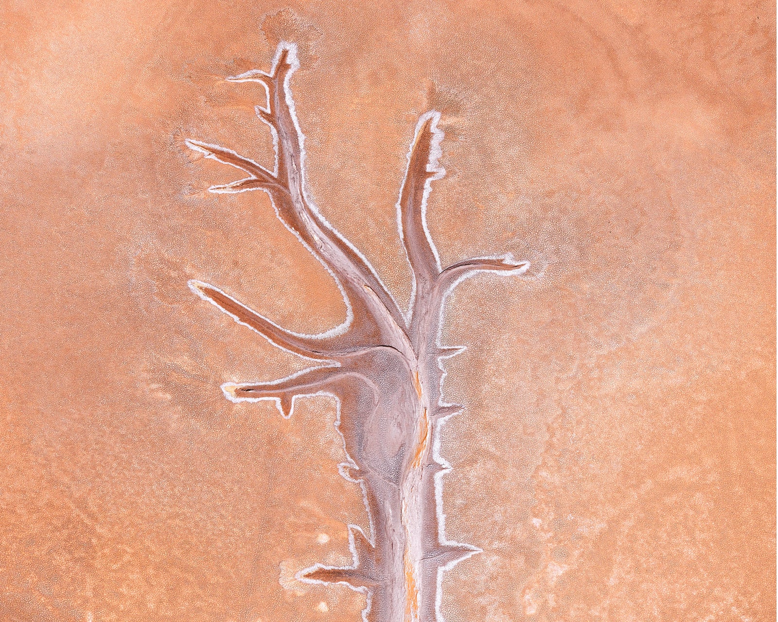 artwork_detail_1
