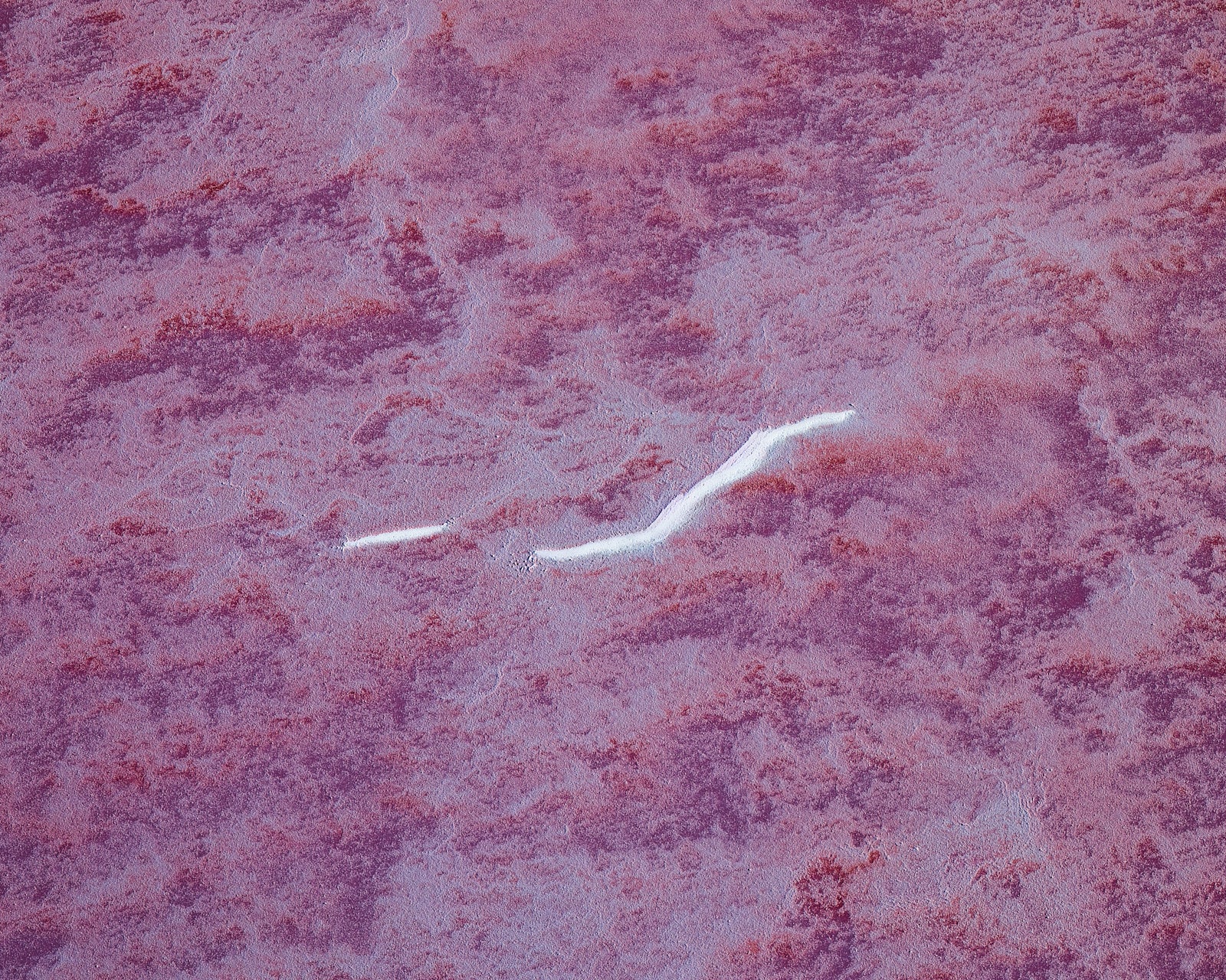 artwork_detail_1