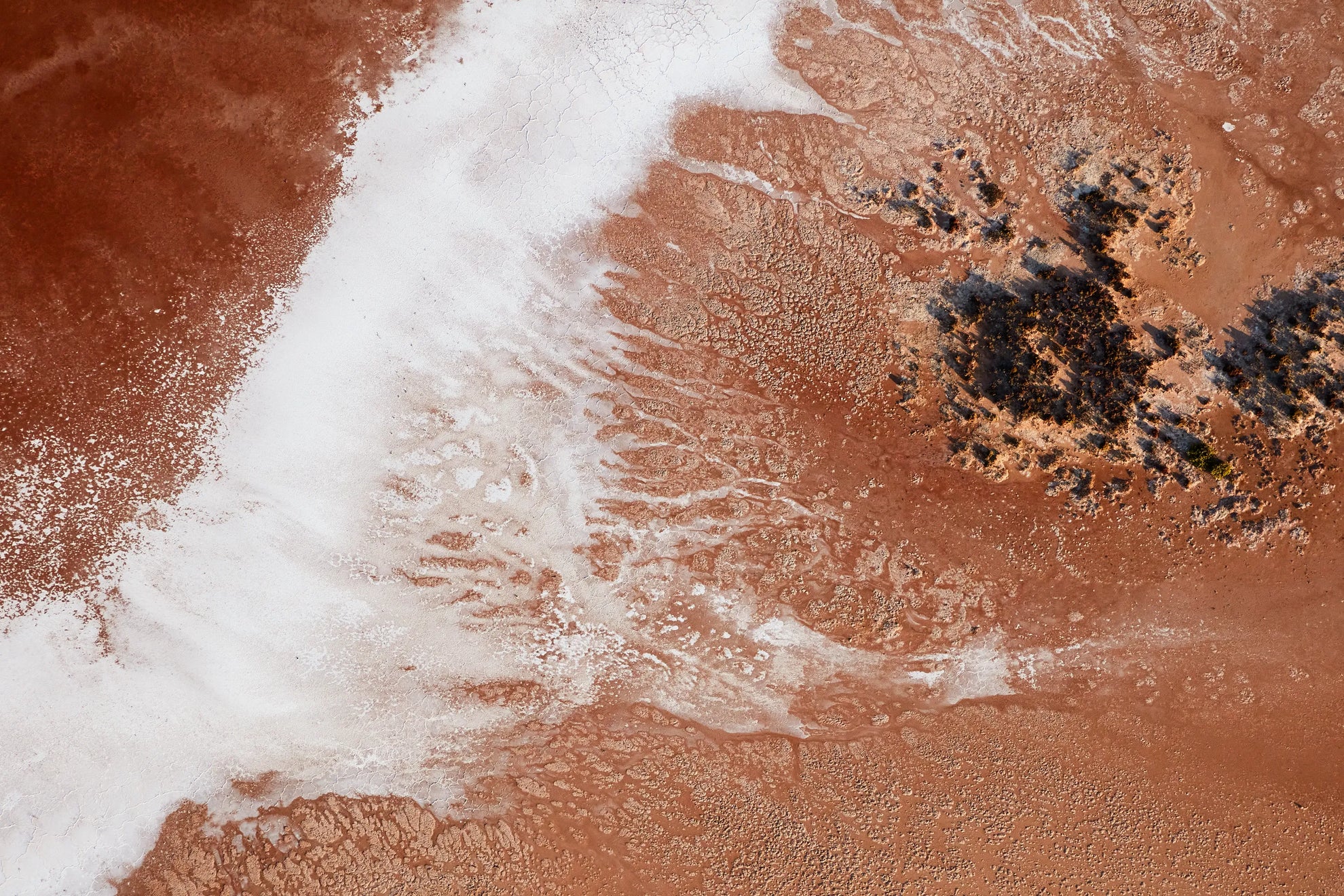 artwork_detail_1