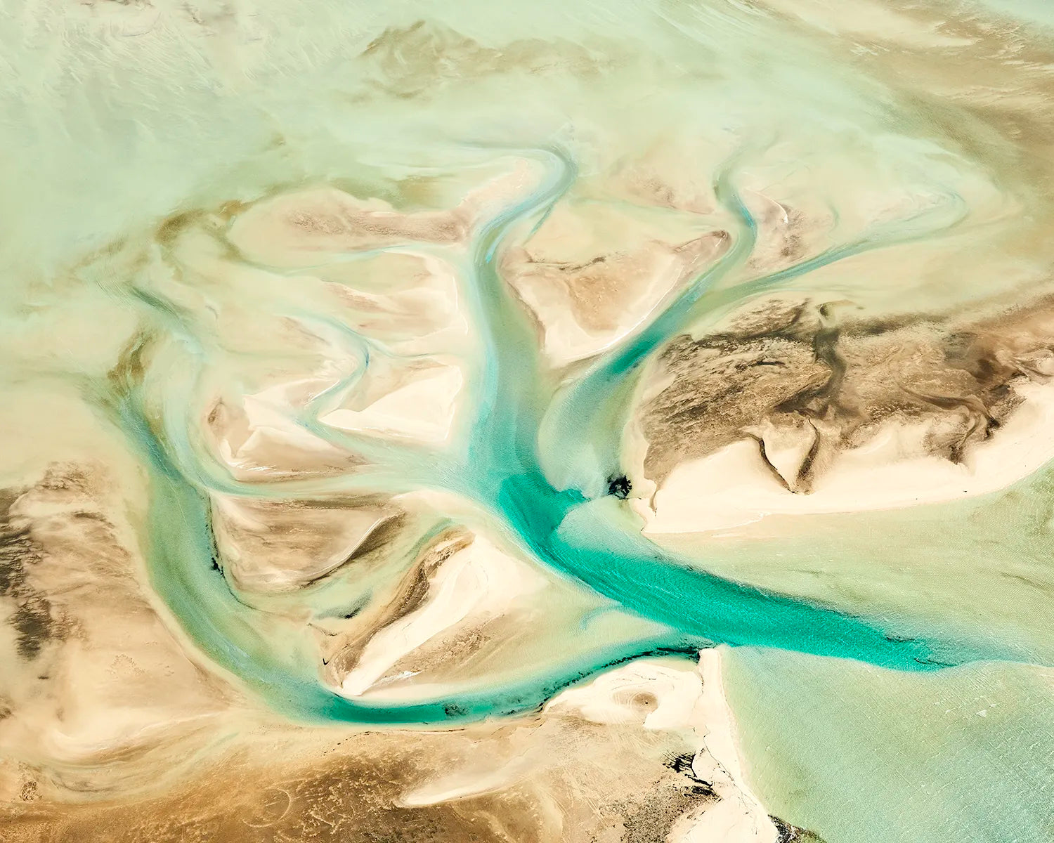 Physis – aerial photograph capturing organic tidal formations resembling natural branching structures in Western Australia