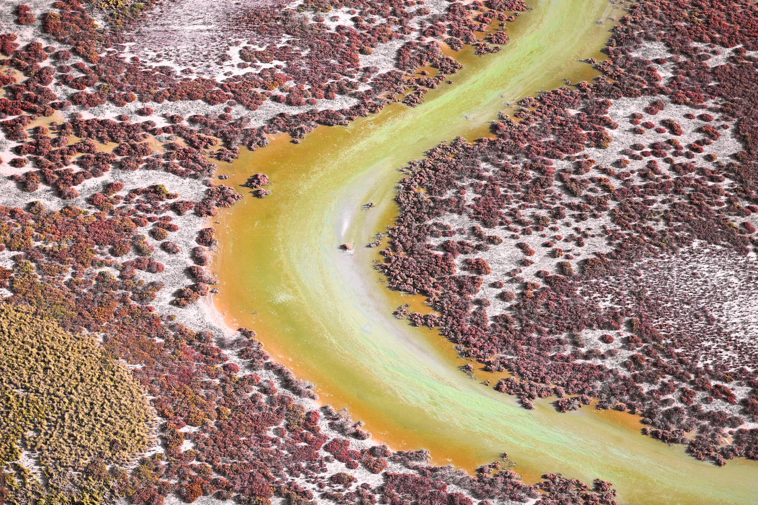 artwork_detail_1