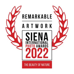 product award