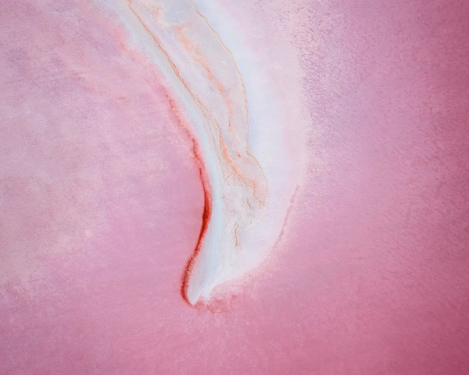 Tendril aerial abstract, Kati Thanda-Lake Eyre, South Australia. Saturated pink field cut by white curved salt line.