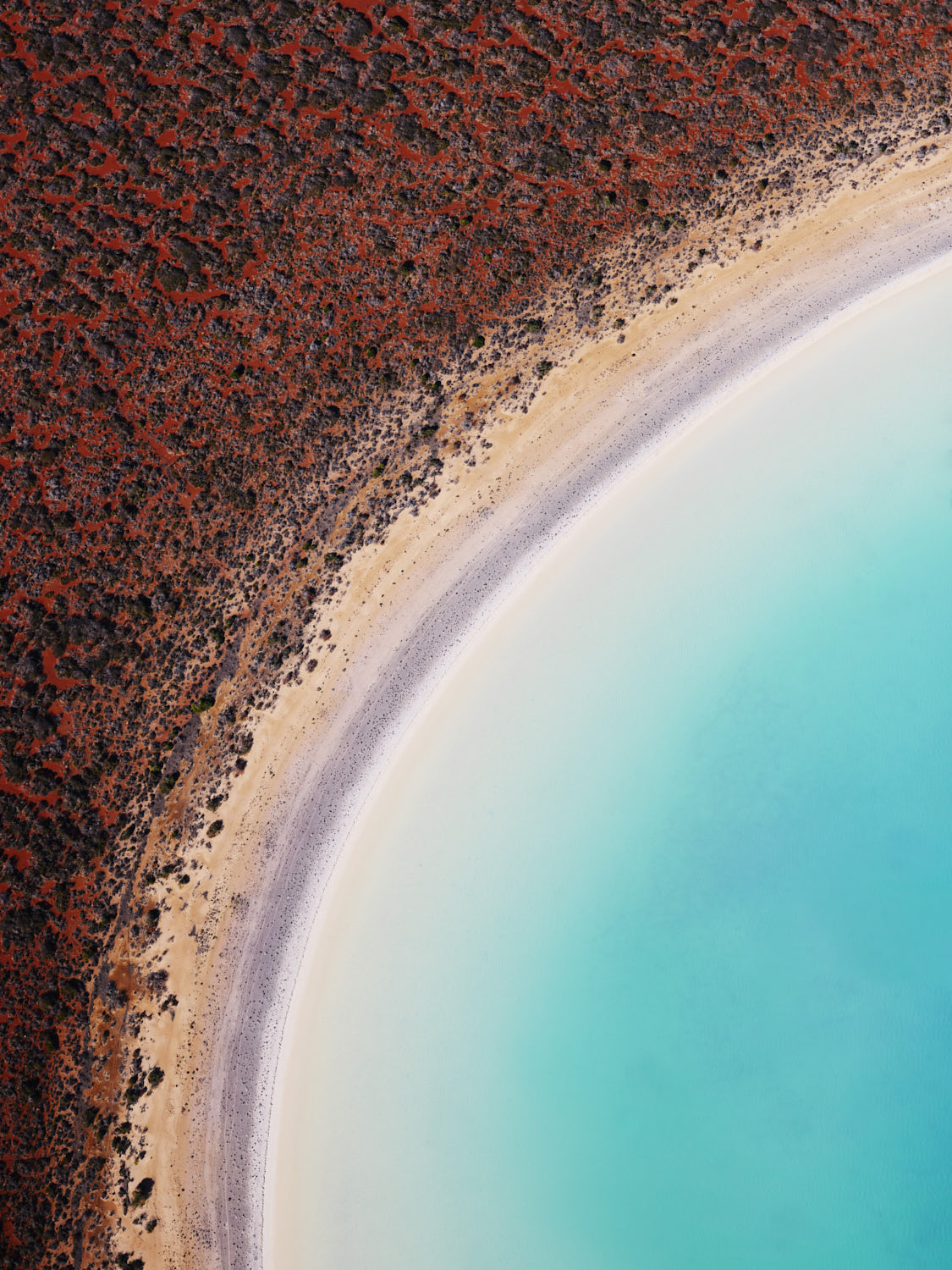 The Lagoon — fine art aerial photograph by Steven Stanley Manolakis