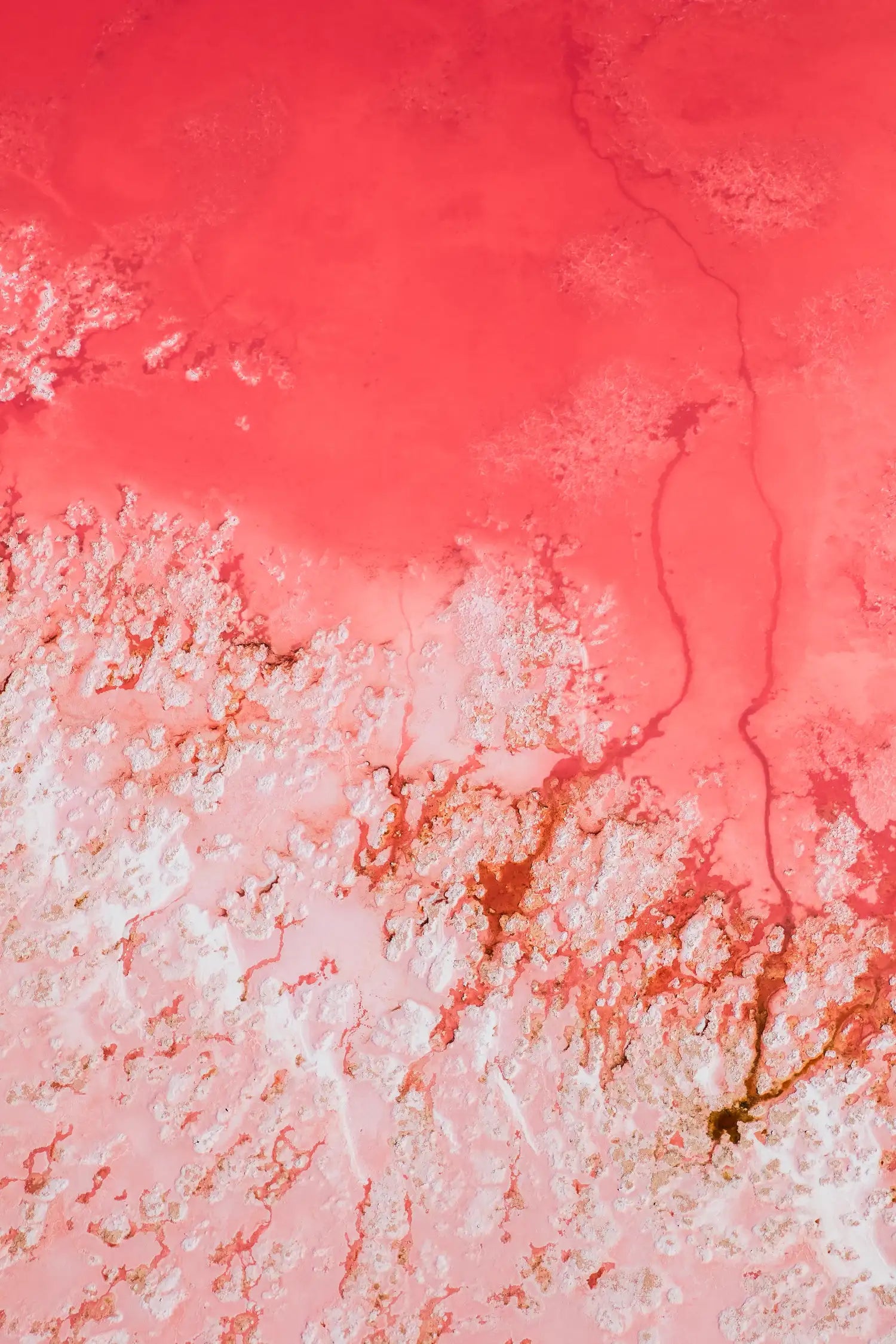 Transfusion aerial photo of Hutt Lagoon, WA. Fuchsia and crimson water contrasting white salt crystals.