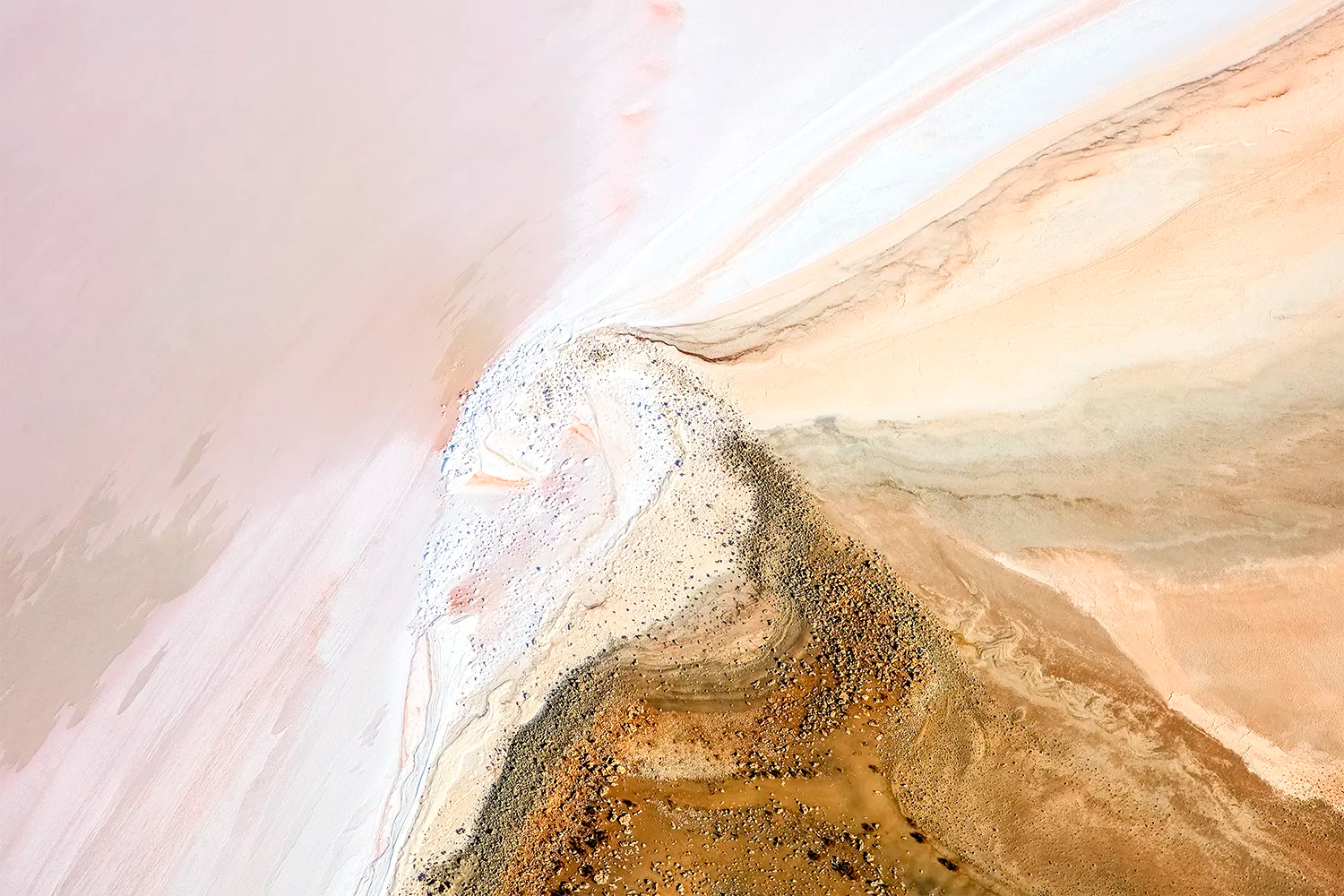 artwork_detail_1
