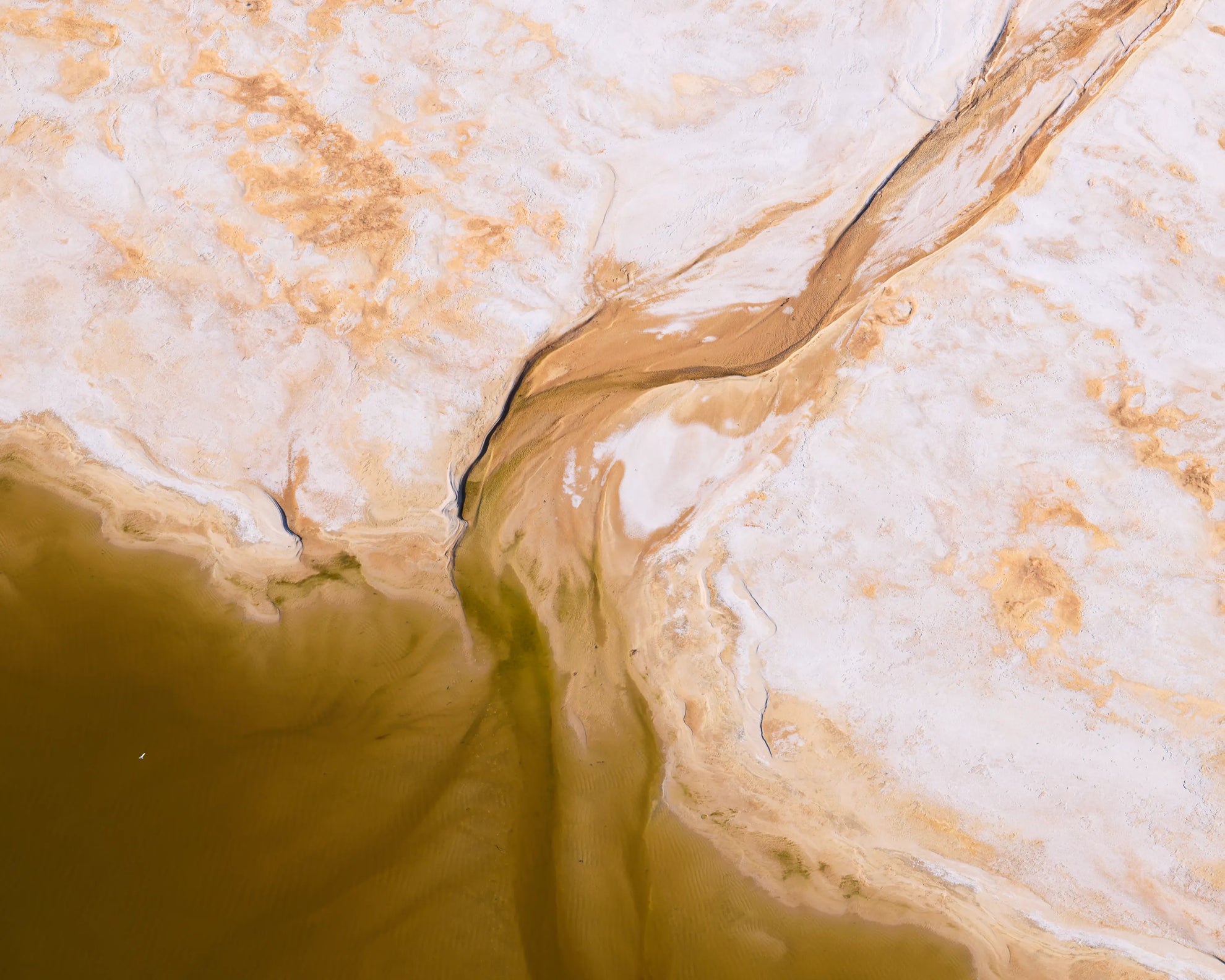 artwork_detail_1